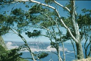 VUE SUR MERS EL KEBIR DEPUIS SANTA CRUZ